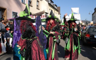 Galeriebild