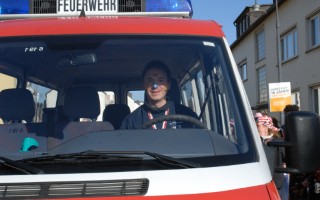 Galeriebild