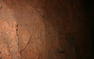 Galeriebild