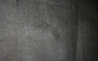 Galeriebild