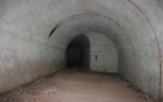 Galeriebild