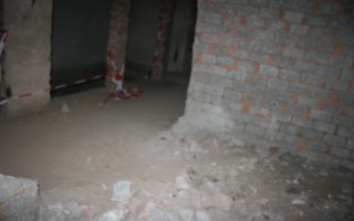 Galeriebild