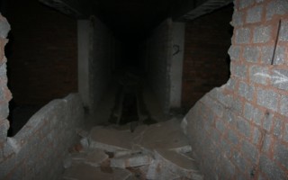 Galeriebild