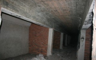 Galeriebild