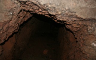 Galeriebild