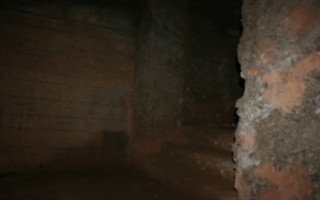 Galeriebild