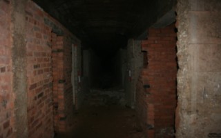 Galeriebild