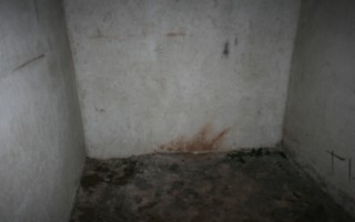 Galeriebild