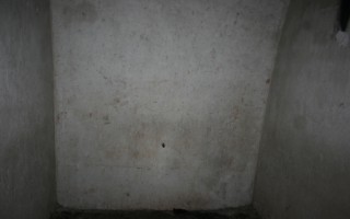 Galeriebild
