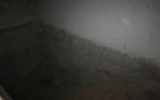 Galeriebild