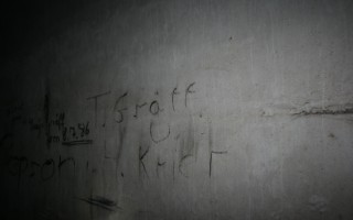 Galeriebild