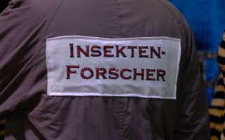 Galeriebild
